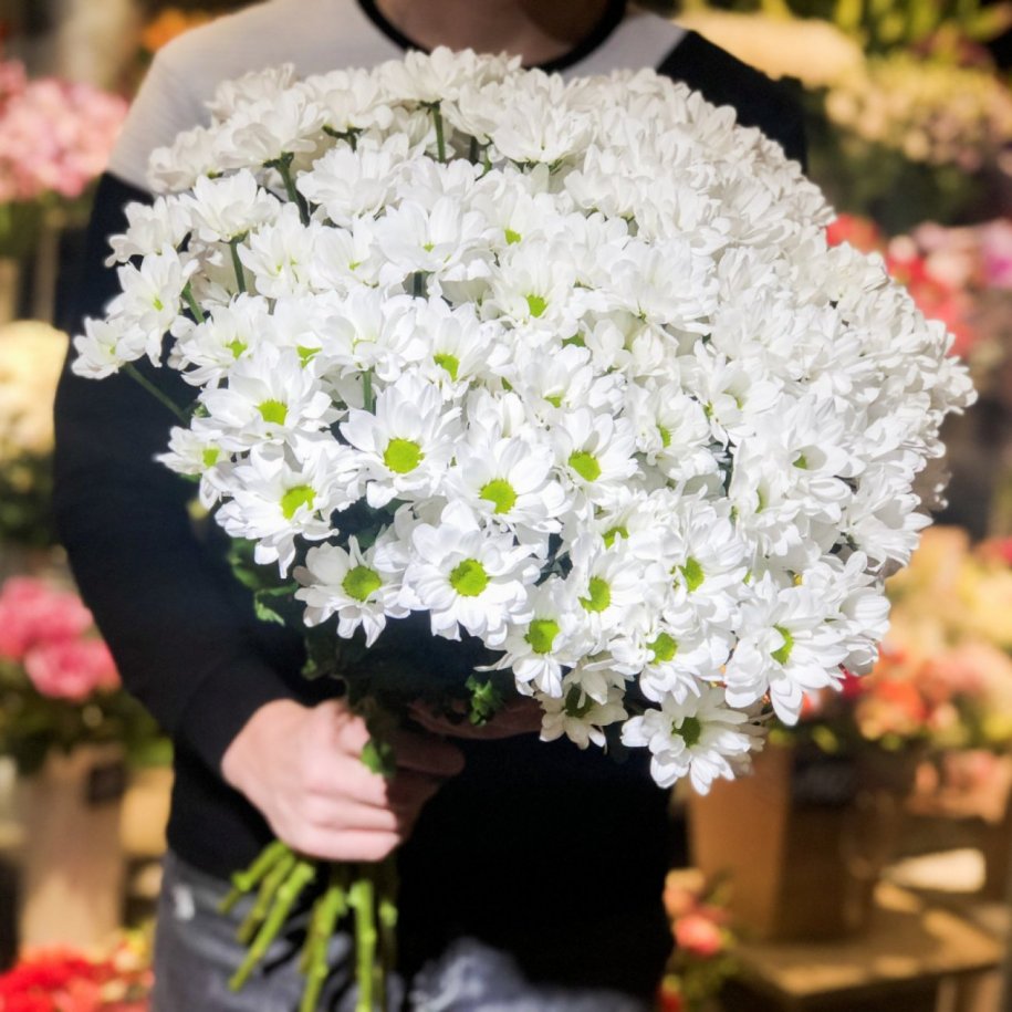 Цветы на день семьи, любви и верности, какой цветок стал символом дня семьи, цветы на день семьи, цветок дня семьи, любви и верности, цветочный магазин в Вологде.